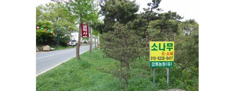인천 옹진군 조경