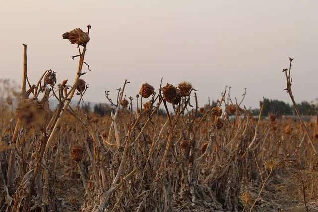 사망 신고 필요 서류 기한 절차 알아보기_2