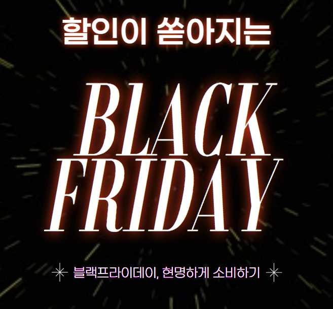 플랙 프라이데이 세일 해외직구 총정리