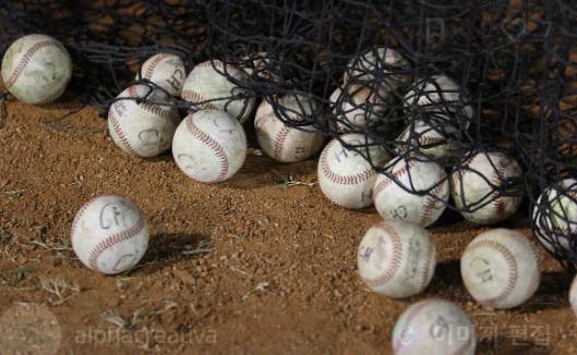 불꽃야구 직관 예매|부산 사직구장 명당 좌석·가격·방법 총정리