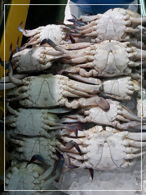 꽃게 영양 성분