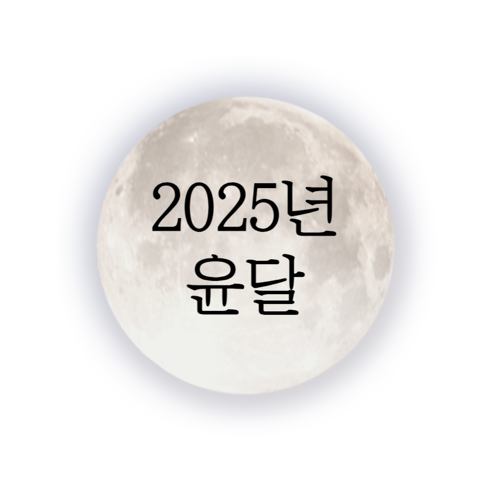 25년 윤달