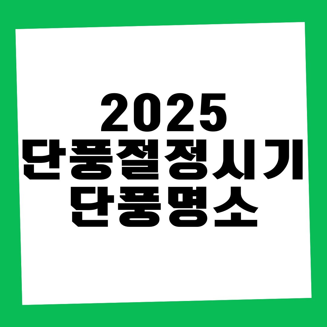 2025 단풍 절정 시기