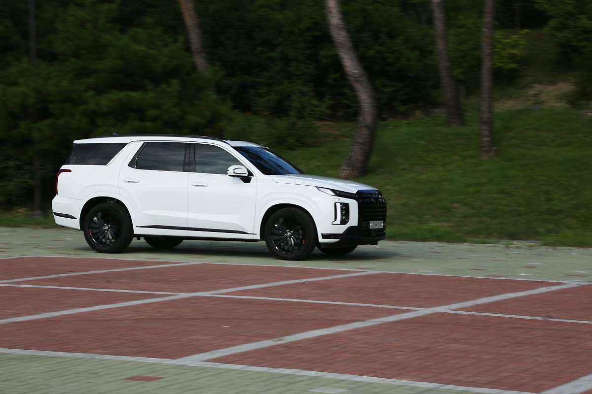 팰리세이드 블랙에디션