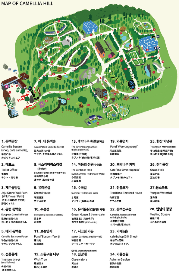 제주도 가볼만한곳 추천 베스트 10 (꼭 가봐야할 곳!)