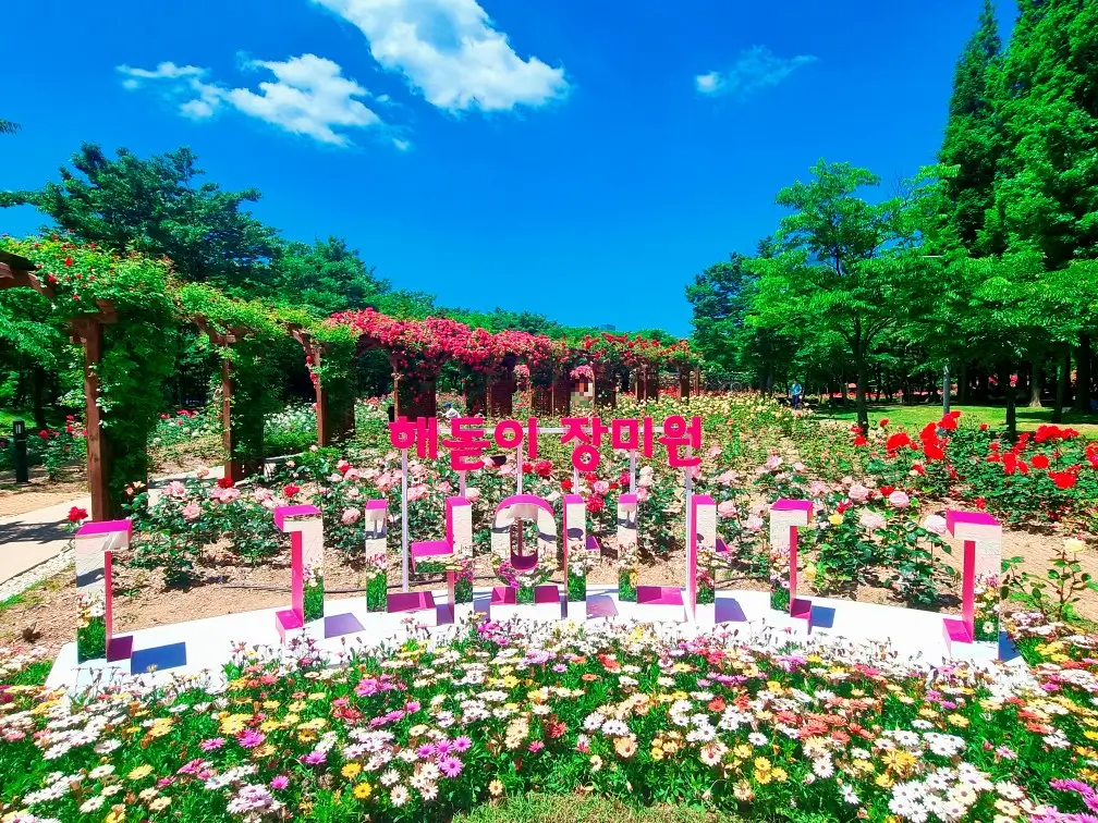 송도 해돋이공원 장미원: 시원한 그늘에서 장미보며 피크닉하기
