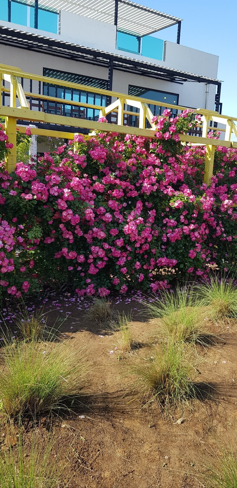 청년내일채움공제 신청 조건 총정리 - 2년 만에 1&amp;#44;200만 원 만드는 법 관련사진