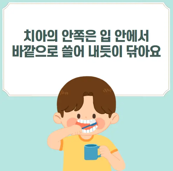 올바른 양치질 방법
