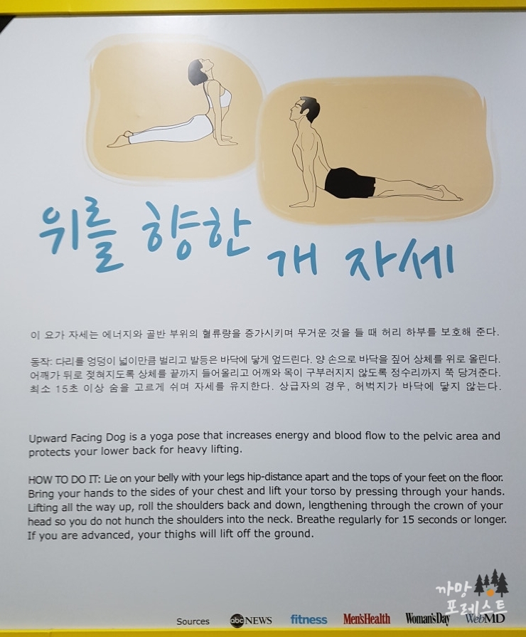 건강과 성 박물관 운동