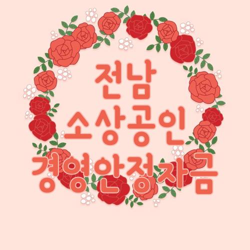 전남 소상공인 경영안정자금