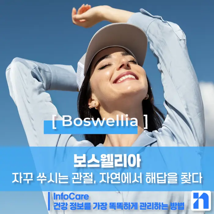 보스웰리아 효능, 먹는 방법과 주의사항