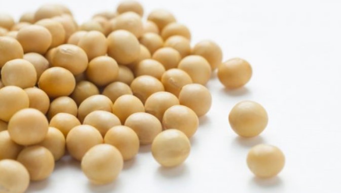 작은 노란빛의 콩들이 올려져 있다.