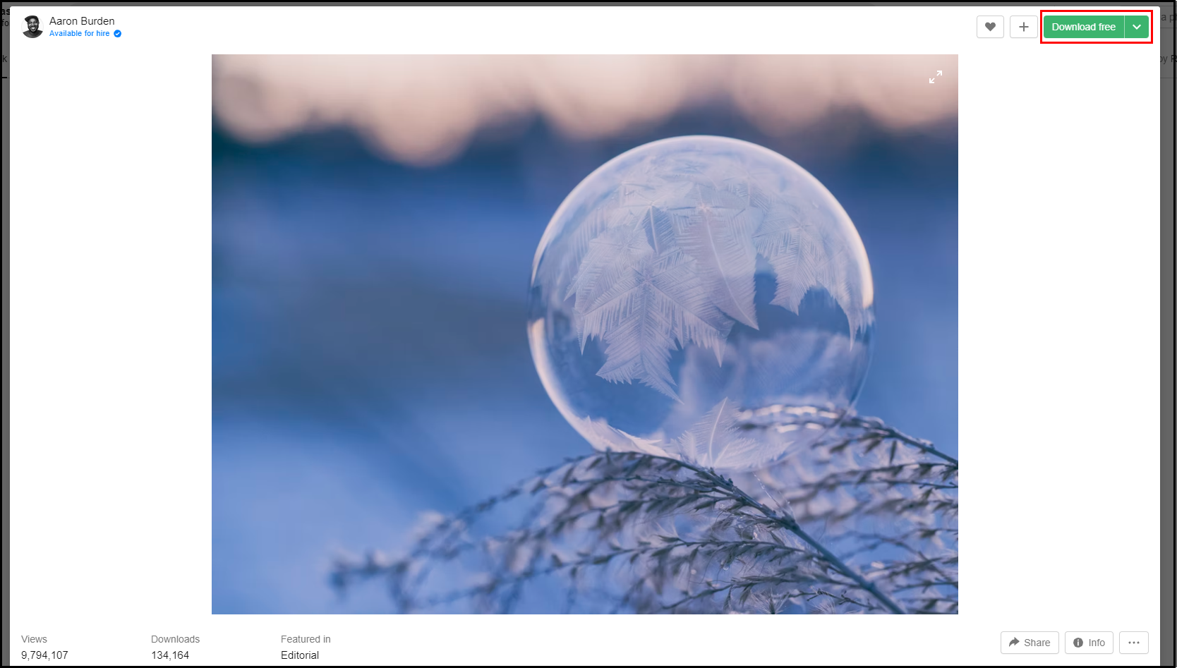 이미지 상세 보기