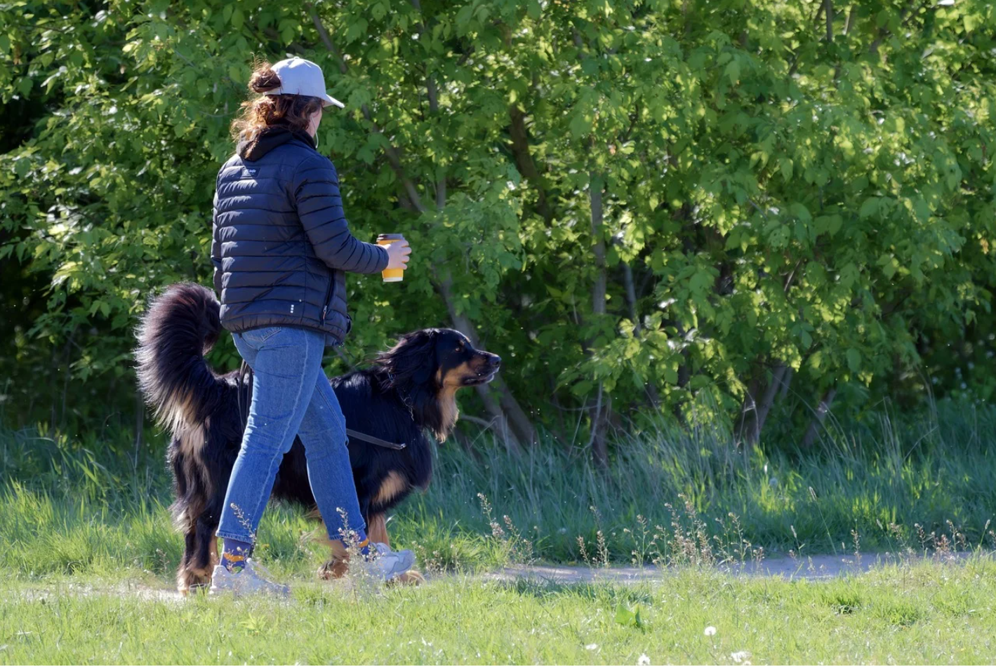 뇌는 걷는 동안 문제를 해결한다