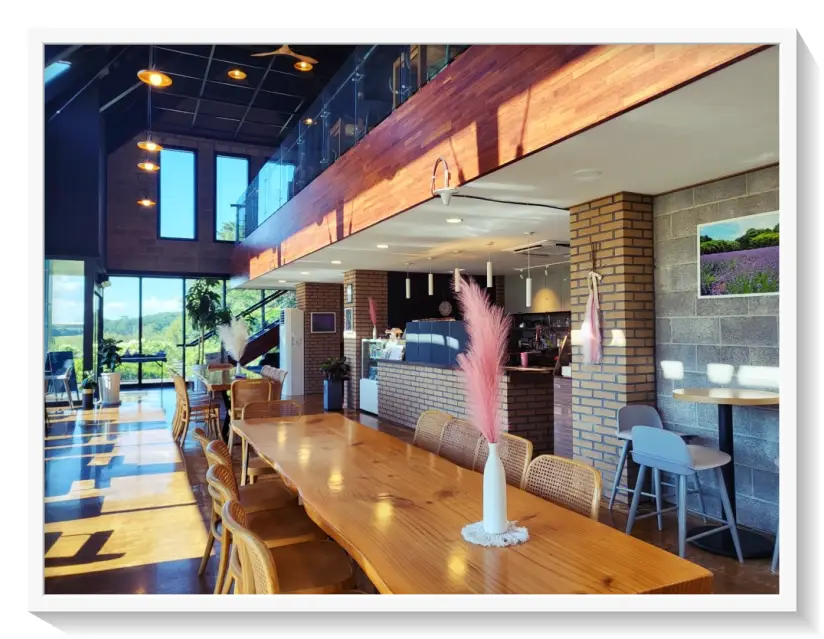 고창 핑크뮬리축제 청농원