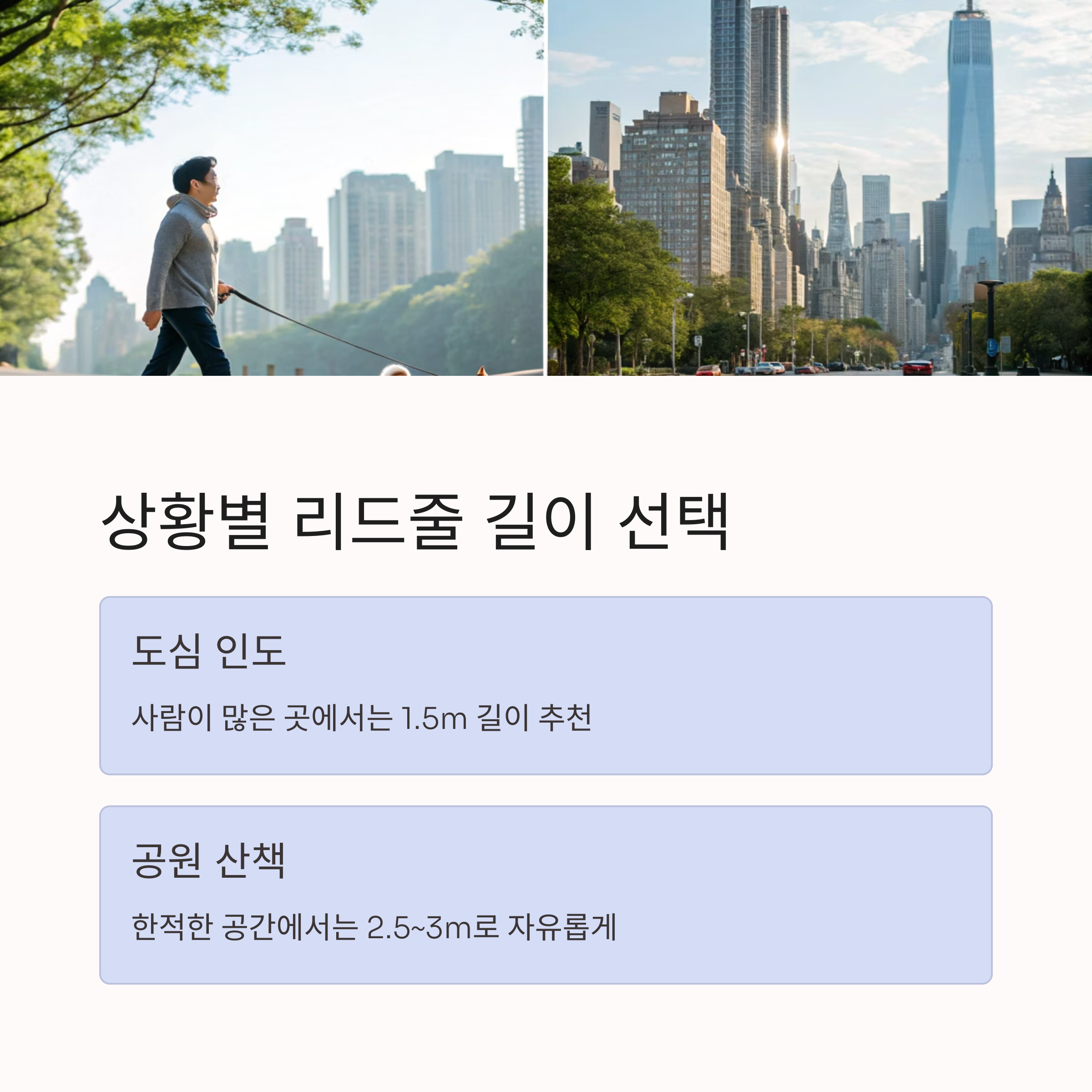 상황별 리드줄 길이 선택
