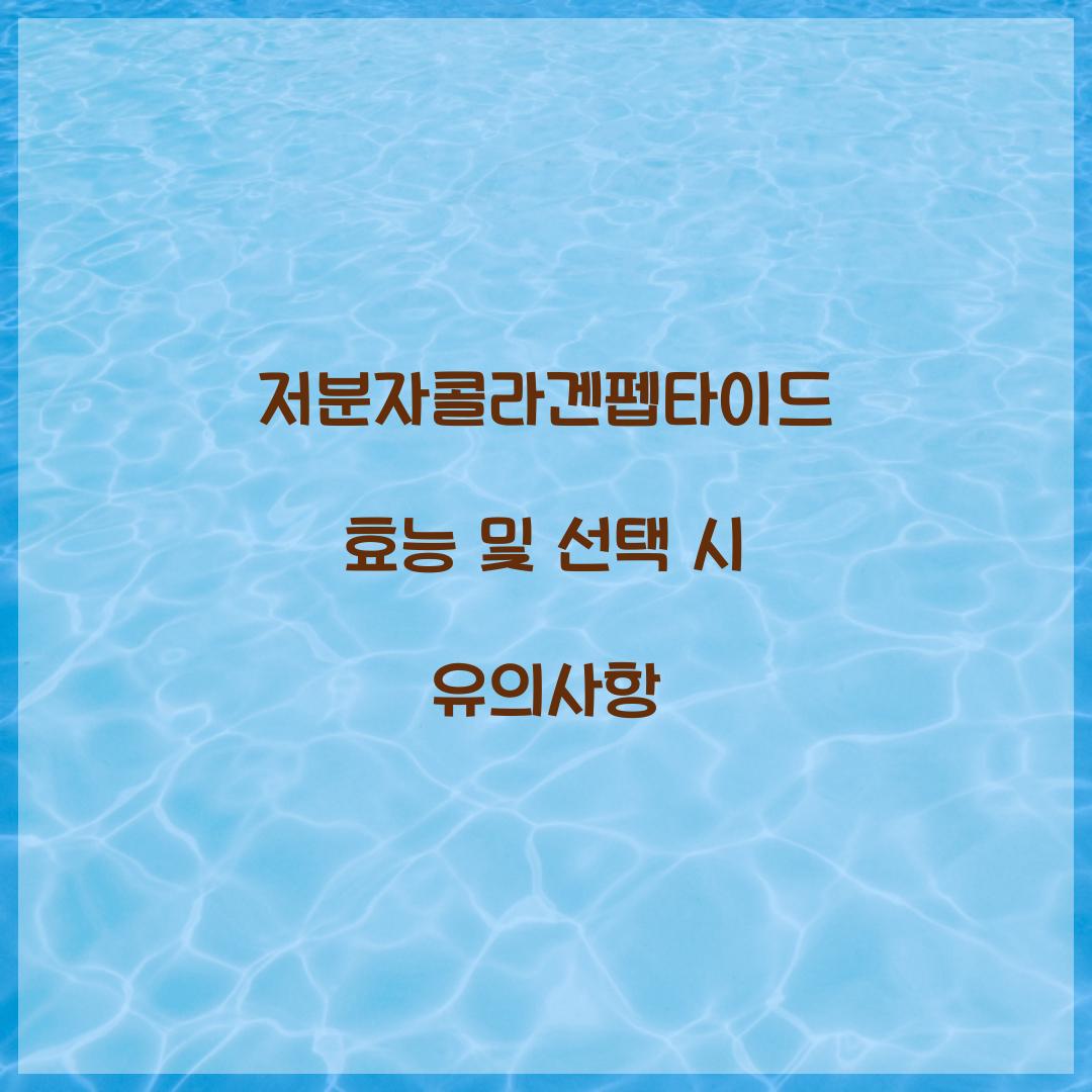저분자콜라겐펩타이드 효능