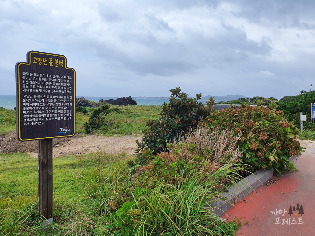 제주 고망난 돌 고망난 돌 불턱
