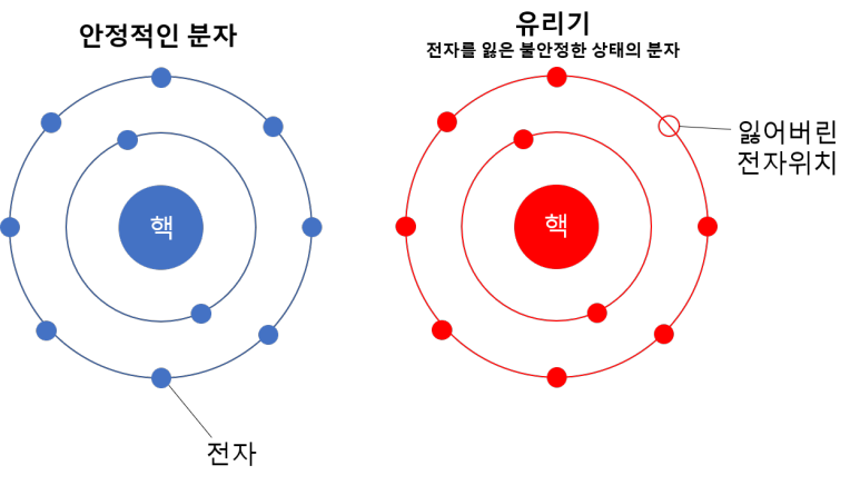 안정적분자와 유해산소