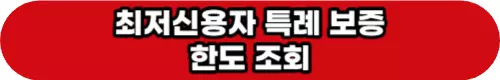 최저신용자-특례보증