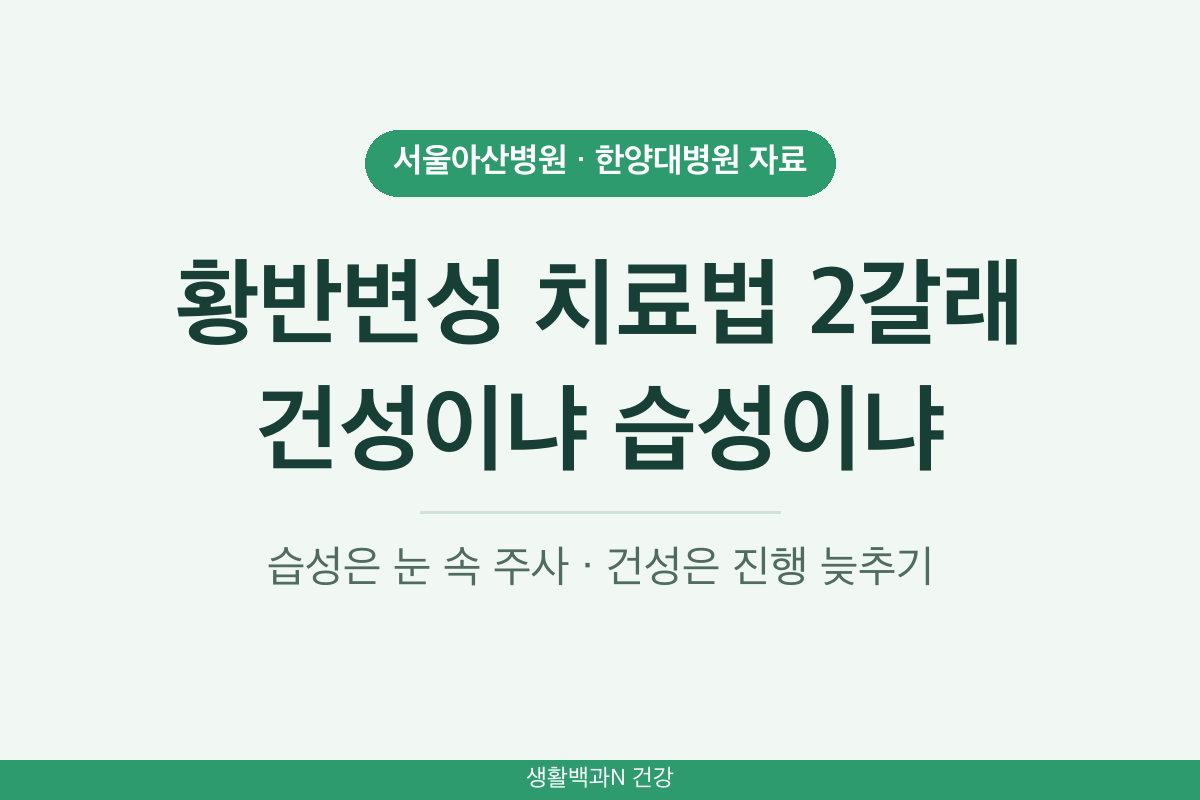 황반변성 치료법 건성 습성 두 갈래 눈 속 주사 진행 늦추기