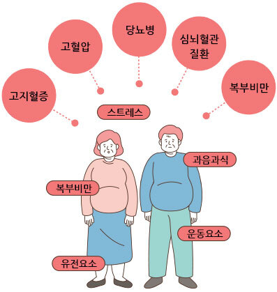 비만과 대사증후군 관련 이미지