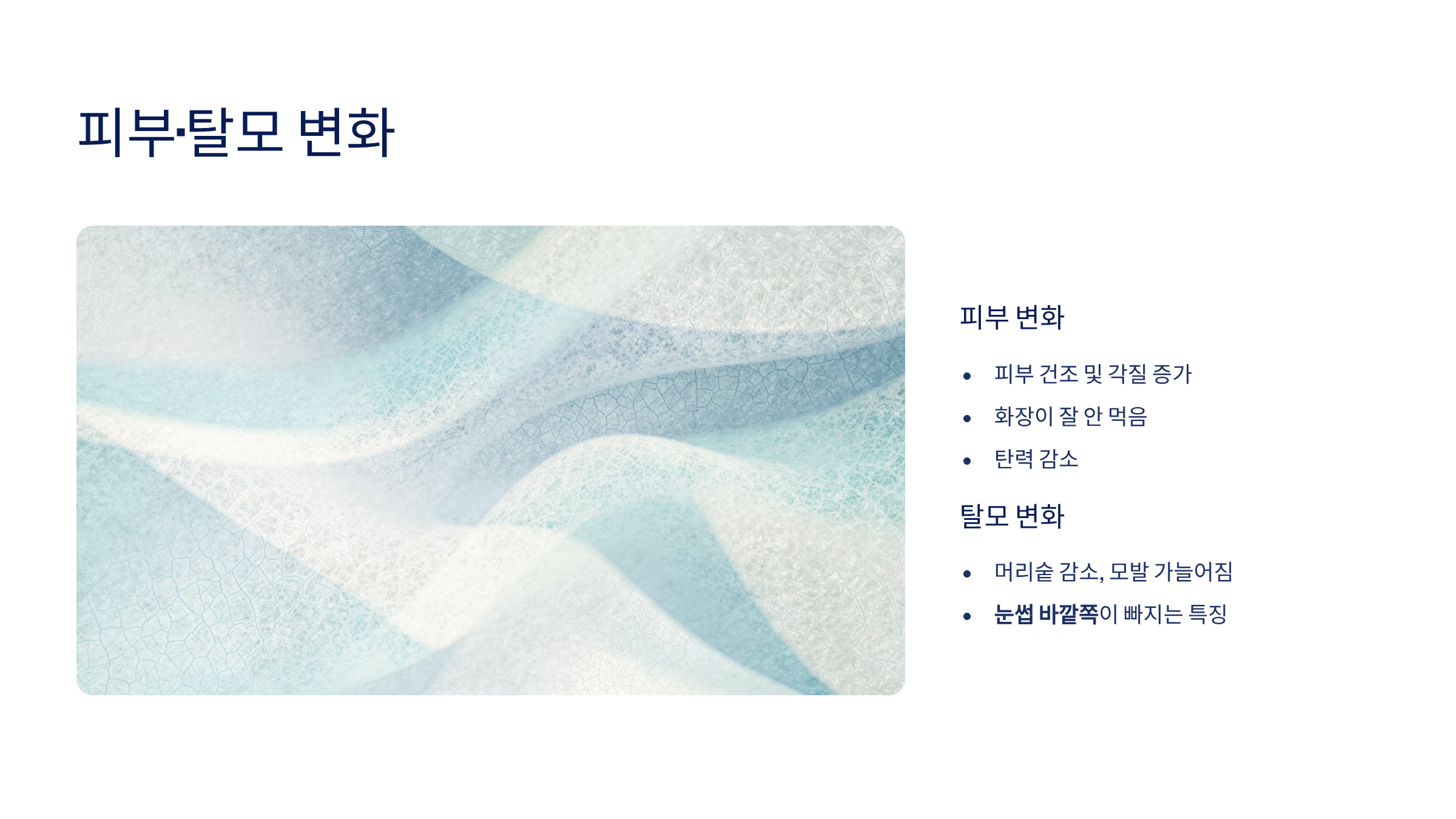 갑상선 기능 저하증 증상