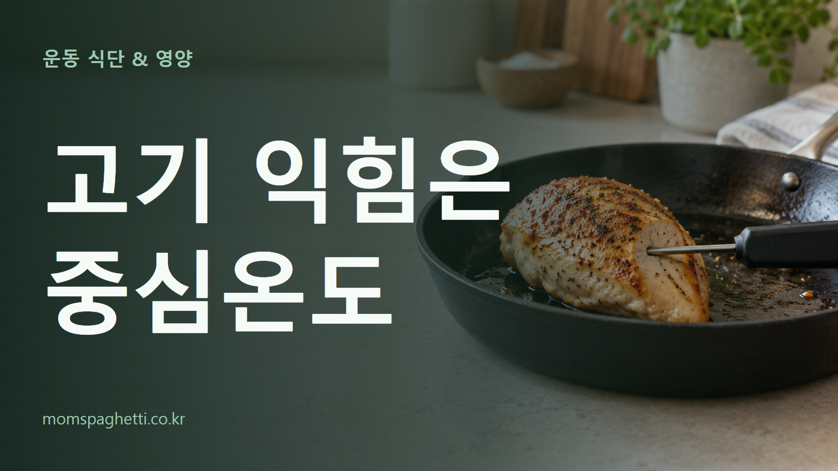 고기 익힘은 중심온도 주제의 설명용 AI 생성 이미지와 제목 문구