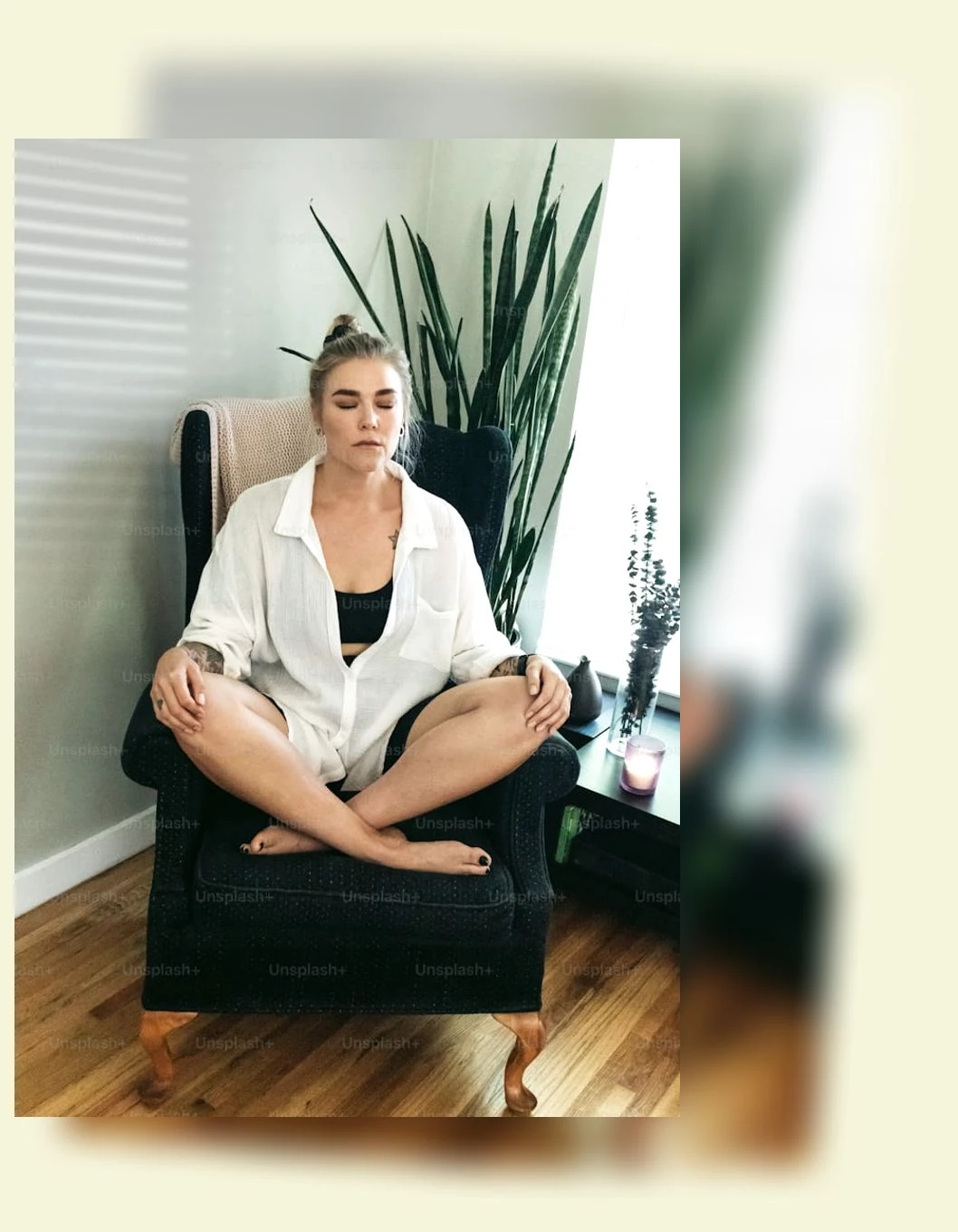 반려동물 스트레스_3_subsection