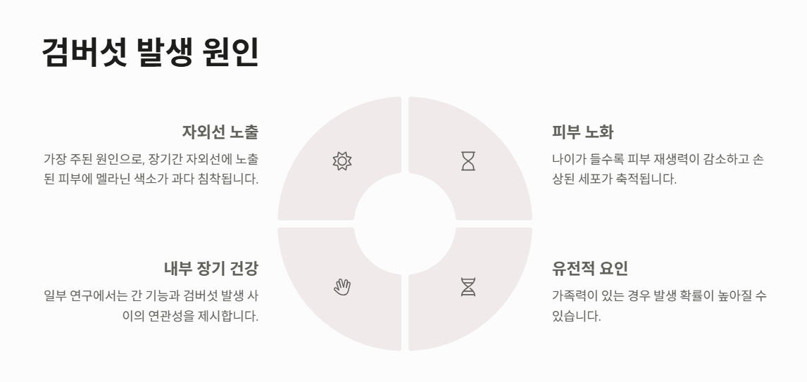 검버섯 없애는 방법과 꿀팁 총정리