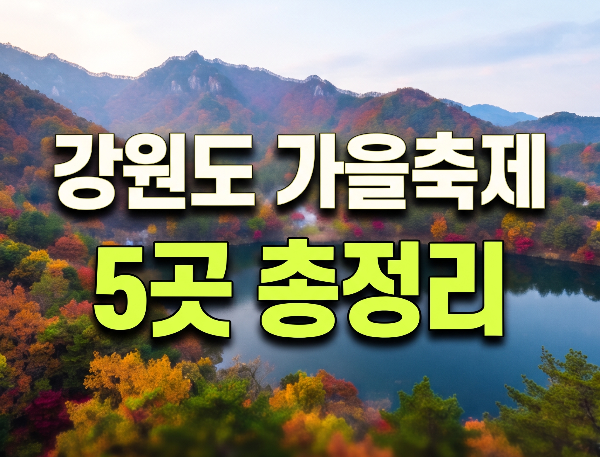 2026년 10월 강원도 축제 추천 5곳｜강릉&middot;정선&middot;인제&middot;양양 가을축제 총정리