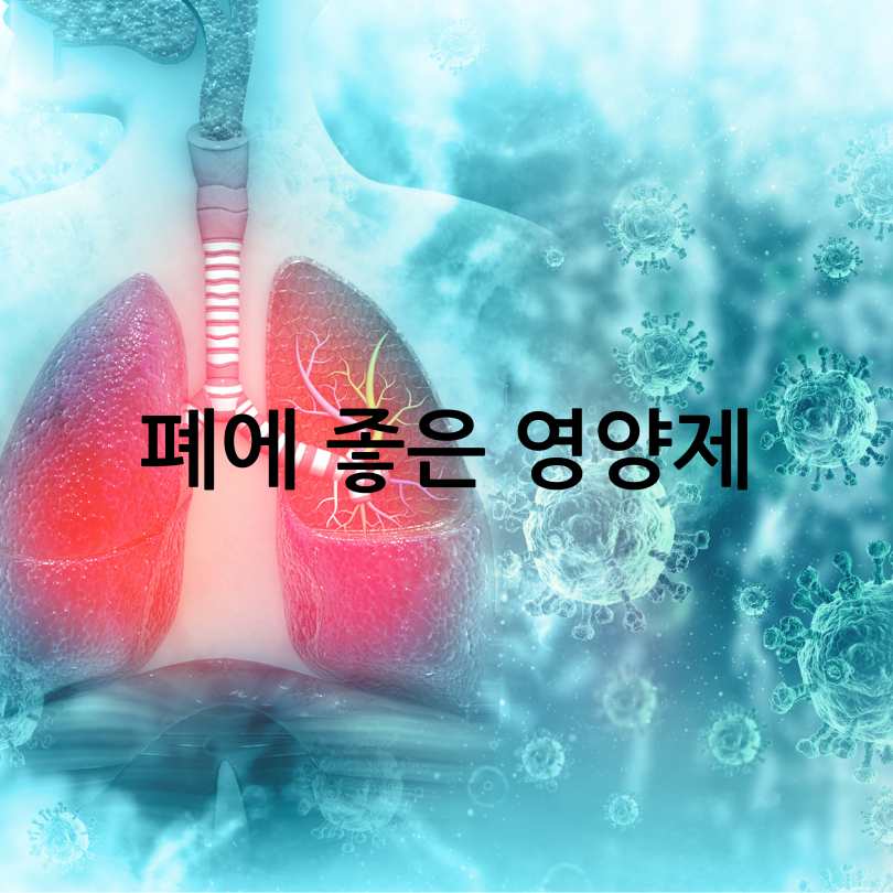 폐에 좋은 영양제