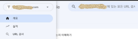 URL 검사