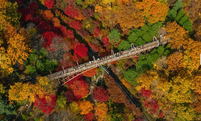 화담숲 온라인 예매, 당일 환불, 입장시간 꿀팁 이미지 설명.