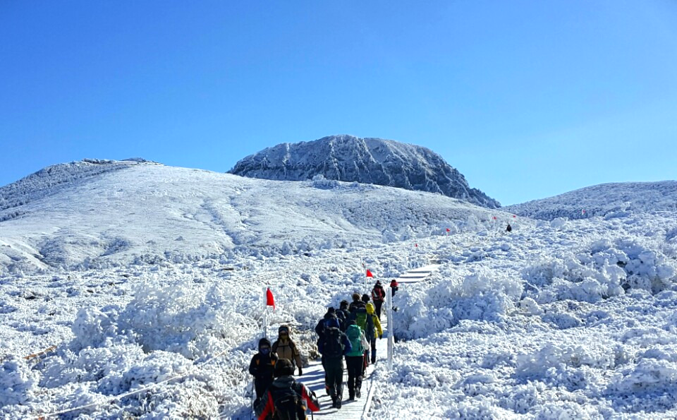 제주도-겨울여행지