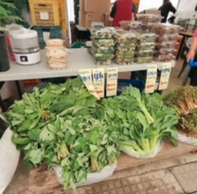 강원n 홍천 산나물축제