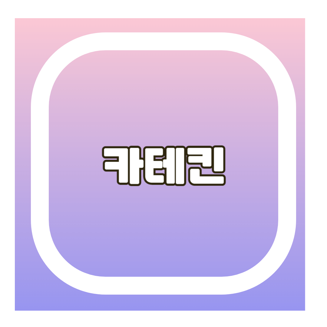 카테킨