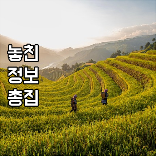서천군 포함 충남 대학생 학자금 이자..