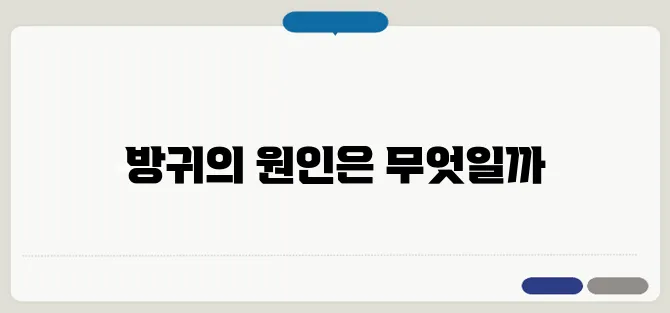 방귀가 많이 나오는 이유와 개선 방법