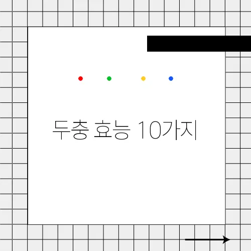 두충 효능 10가지, 부작용