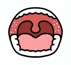 홍역이란 무엇일까