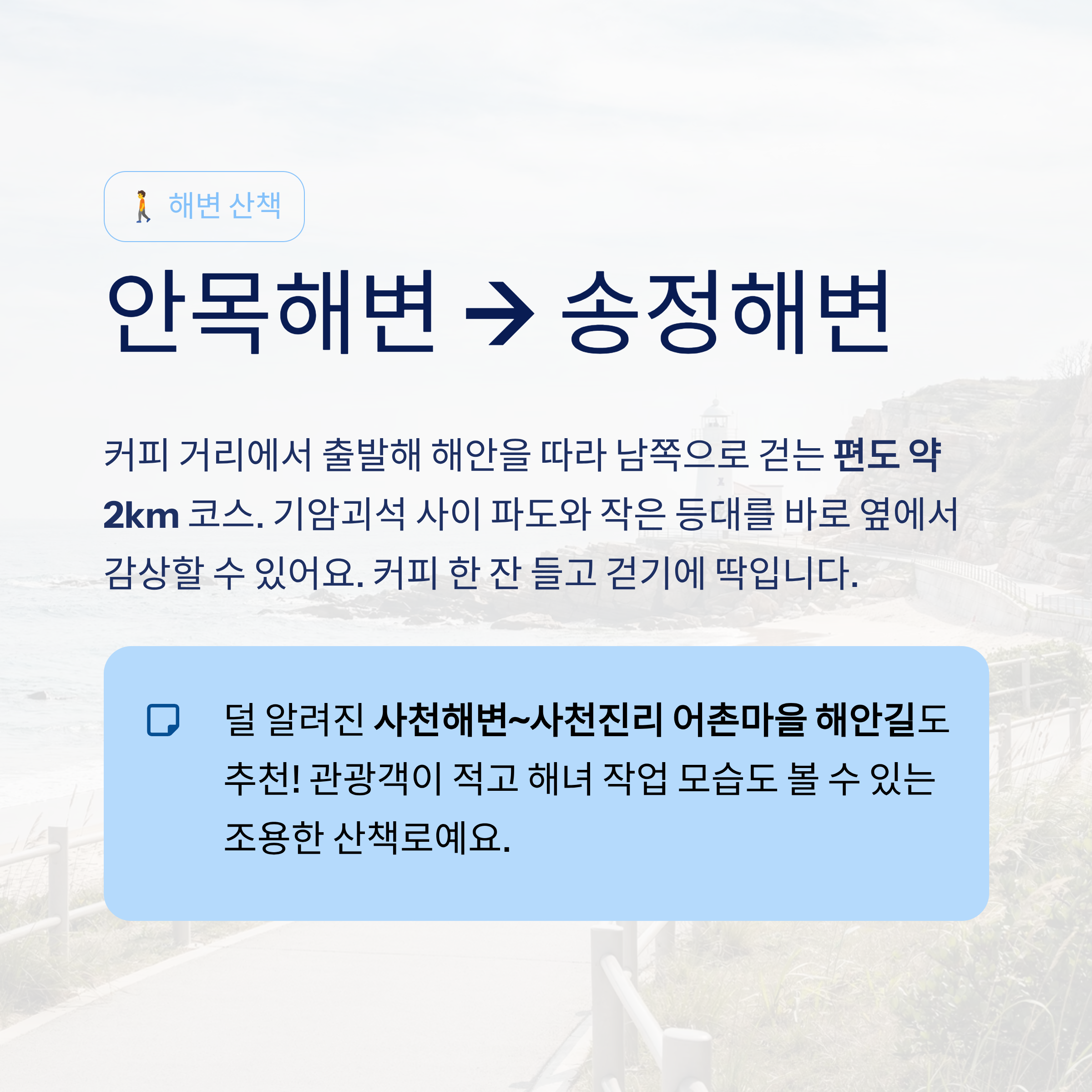강릉 근교 산책 달리기 트레킹 코스 추천 ❘ 바다와 소나무 숲 사이를 걷는 법