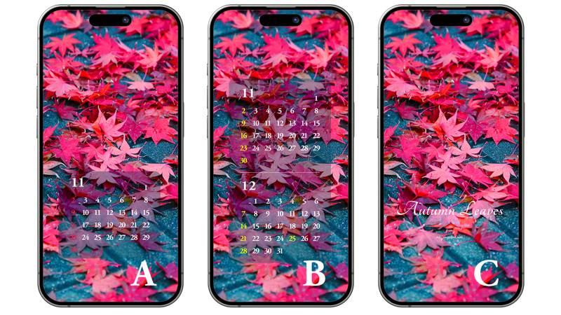 07 바닥에 떨어진 단풍잎 ABC - 2025년11월 아이폰배경화면