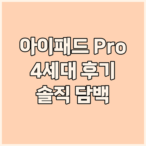 아이패드 Pro 12.9 4세대 솔직..