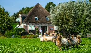 시골 빈집 리모델링 지원 사업2