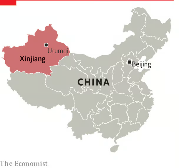 위구르족은 어디에 주로 거주하나요?