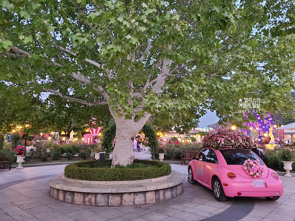 에버랜드 장미축제 2022 기본정보, 지금 개화시기, 에버랜드 플라워 아트&마켓