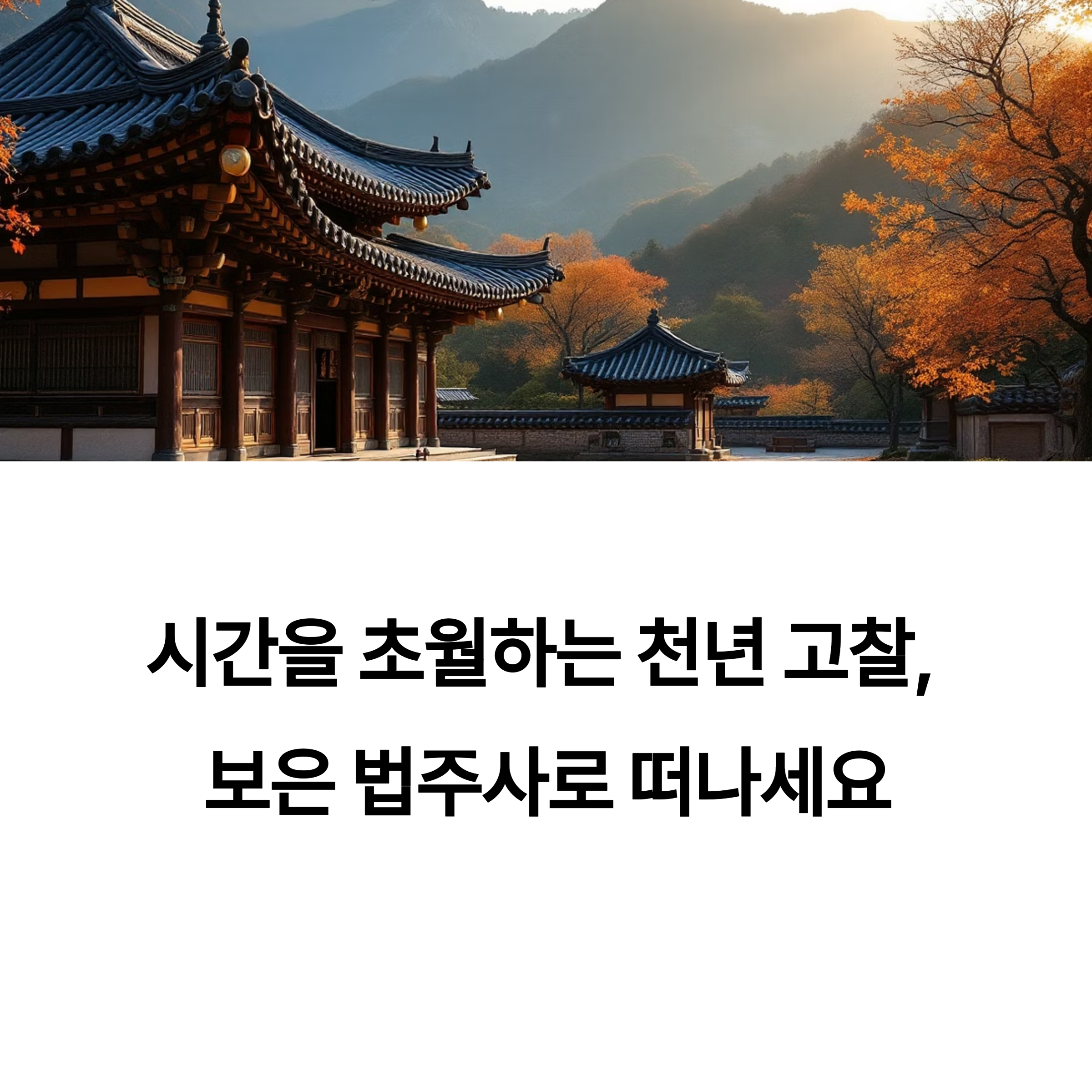 역사와 자연을 품은 보은 법주사 여행기