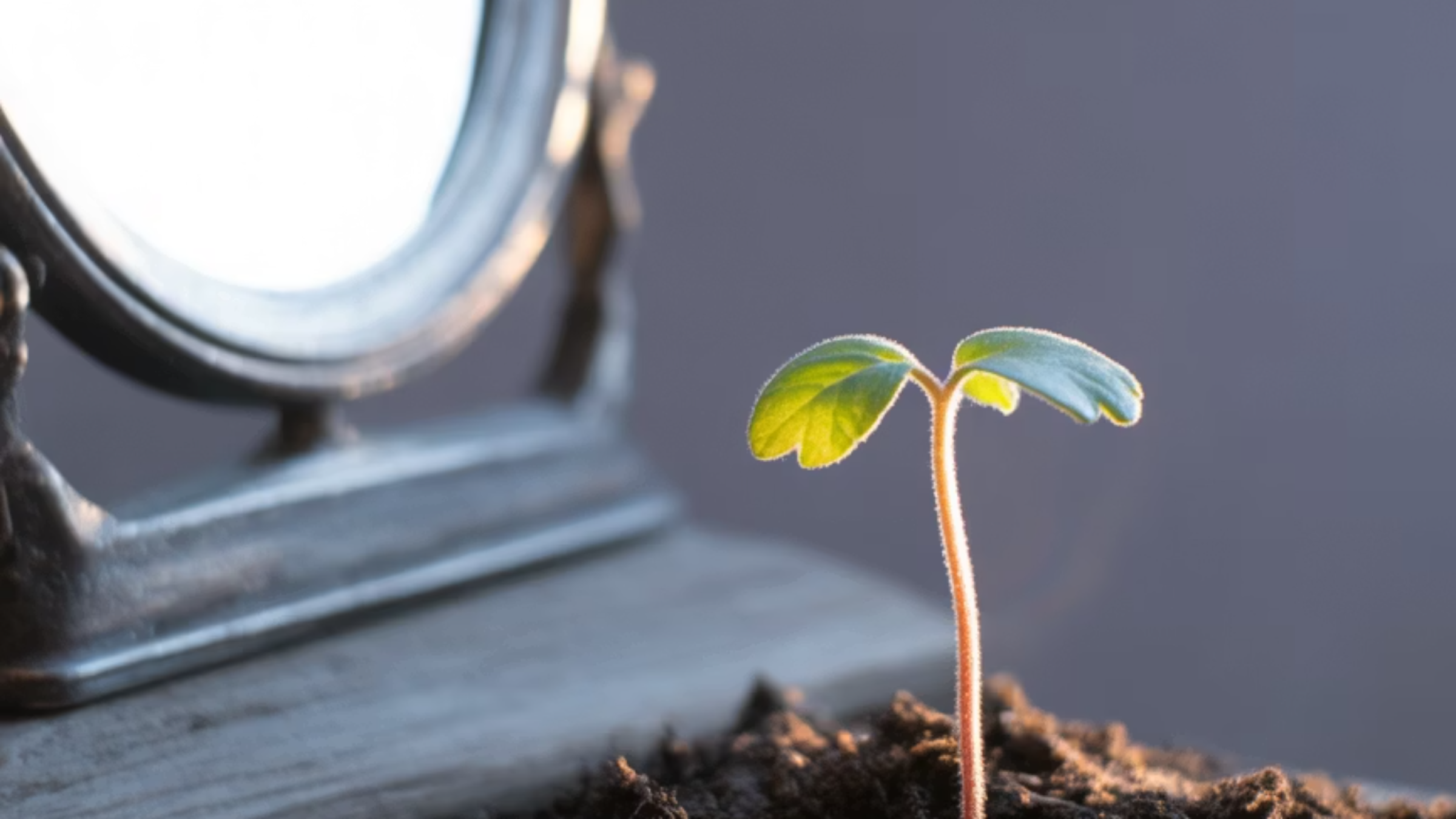 타인의 평가와 자존감의 관계