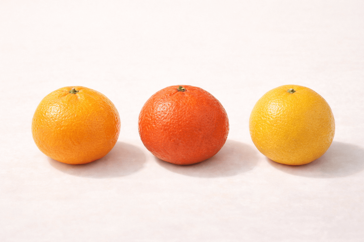 천혜향 vs 레드향 vs 황금향